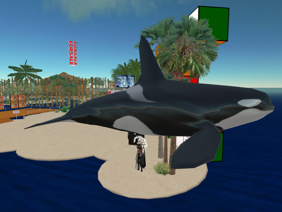 Sculpted Dolphin Shop