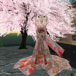 kimono