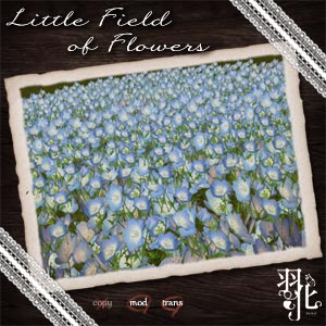 [羽化] Little Field of Flowers