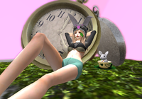 March Hare Hunt②