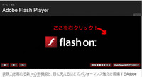 Flash Playerに危険な脆弱性