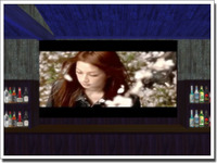 Media Screen入れました