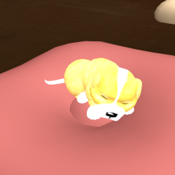 手品するウサギ♪