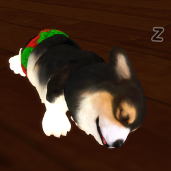 御犬サマ。