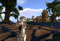中世風RP SIM:Realm of Forsaken