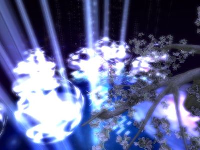 幻想的な夜桜ダンスパーティ