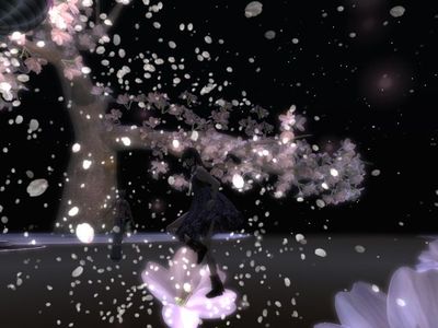幻想的な夜桜ダンスパーティ