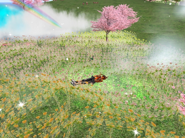 花畑