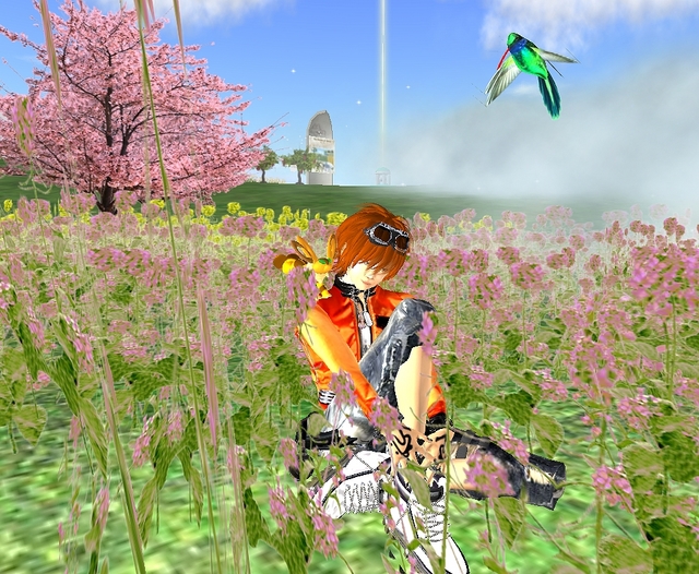 花畑