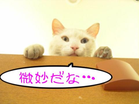 SS放出