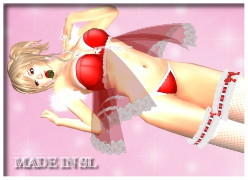 FreeでSexyサンタ!!+サンタネコ耳シッポ