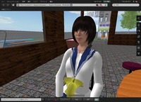 ｖｉｅｗｅｒ2、やっと動きました