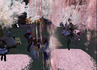 桜の下で