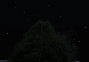 あさな亭付近。ティーの木の背後に満天の星