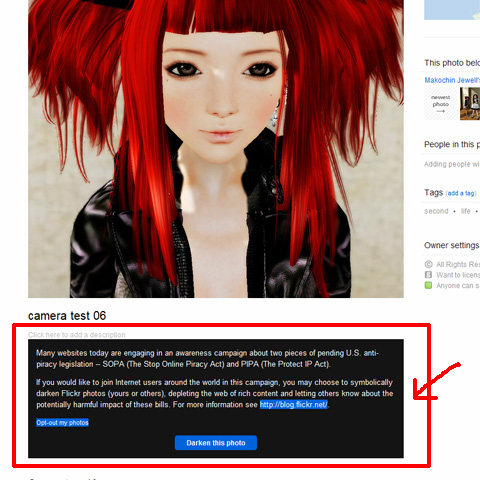 FlickrでSOPAへの抗議運動実施中
