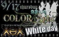 Color night　White day