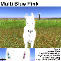 Multi Blue Pink