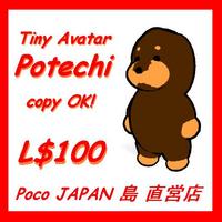 Tiny Potechi