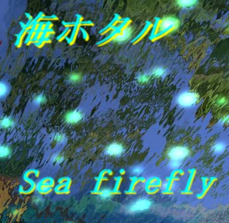 FREE☆海ホタル
