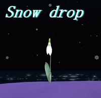 雪の花　snow drop