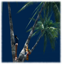 Diary 22