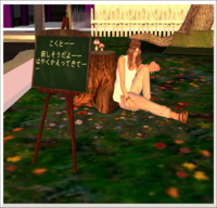 Diary 24