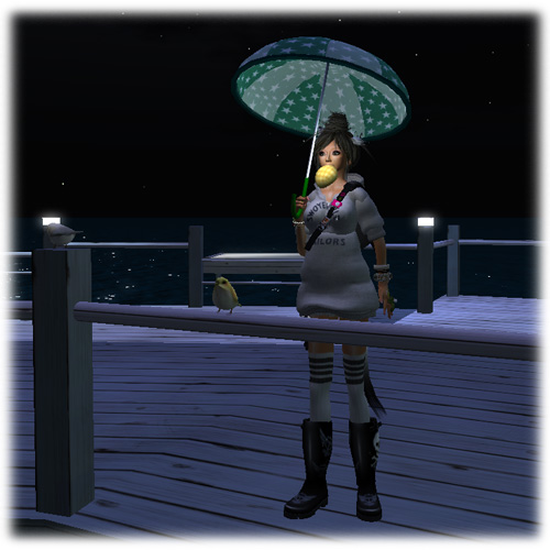 ◆ minaのSL Fashion 12