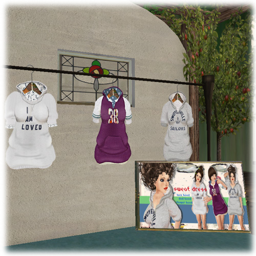 ◆ minaのSL Fashion 12