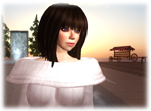 ◆ minaのSL Fashion 25