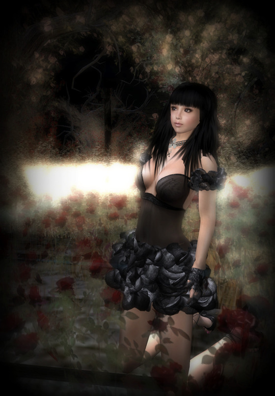 ★Halloween Gift★