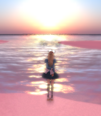Aliceでおさんぽ♡