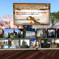 フォトコン初参加
