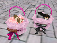 飼い始めました・w・