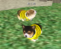 飼い始めました・w・