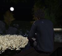 輝く月のように