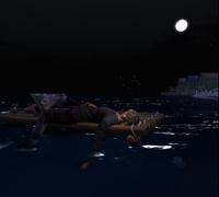 moonlight surfer