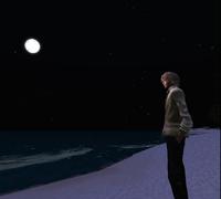 Fly Me To The Moon