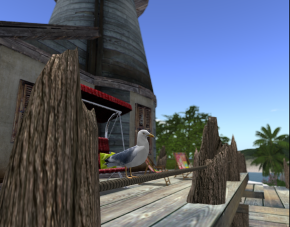 Renewal of the SIM
