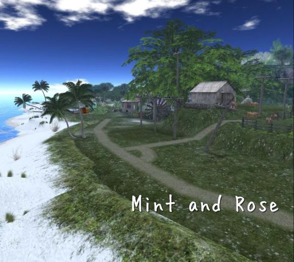 OPEN ! Mint and Rose Sim