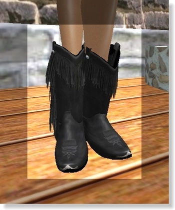* WesternBoots *