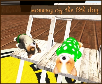 * 愛犬コーギー *