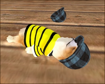 * 愛犬コーギー *