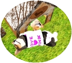 * 愛犬コーギー 眠り姫の巻~ *