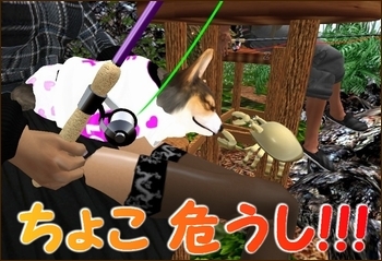 * 愛犬コーギー 眠り姫の巻~ *
