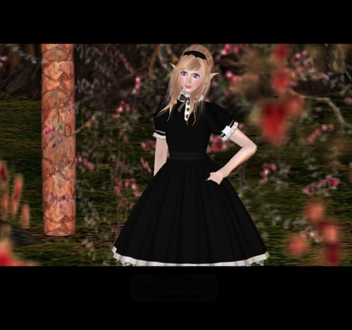 シックなGothic†Dress by TBC
