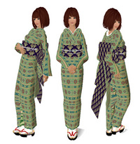 着物に挑戦・・・