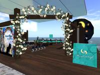昨日は MoonCat Apple の例会をここで開催。