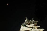 秋の夜長？