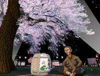 フォトコンテスト応募♪