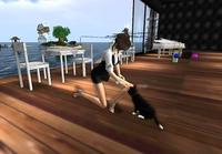 copy bot はいるらしい